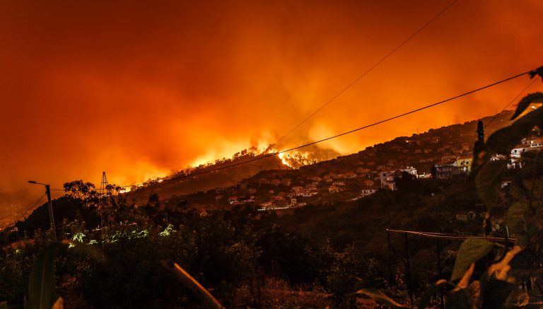 Lee más sobre el artículo Incendios en Galicia ¿cómo se originan?