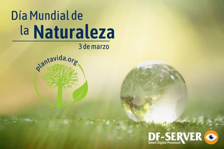 Lee más sobre el artículo 3 de marzo Día Mundial de la Naturaleza.